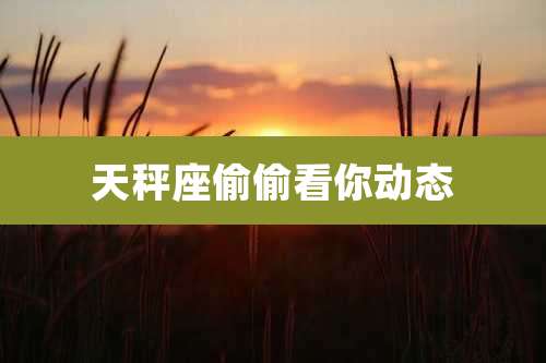 天秤座偷偷看你动态