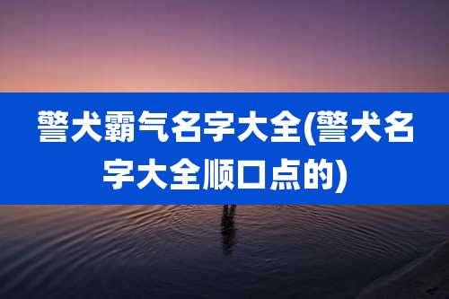 警犬霸气名字大全(警犬名字大全顺口点的)