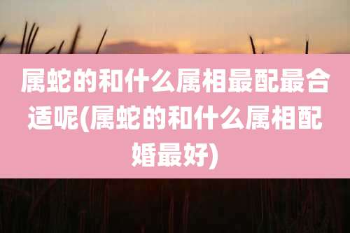 属蛇的和什么属相最配最合适呢(属蛇的和什么属相配婚最好)