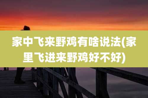 家中飞来野鸡有啥说法(家里飞进来野鸡好不好)