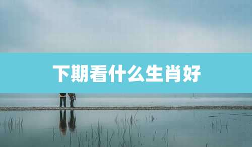 下期看什么生肖好