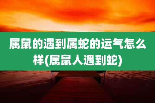 属鼠的遇到属蛇的运气怎么样(属鼠人遇到蛇)