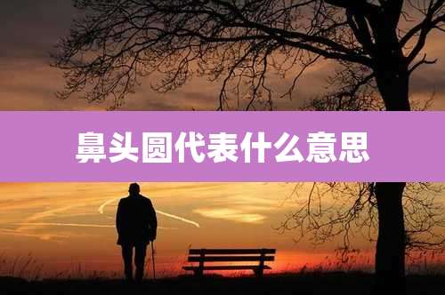 鼻头圆代表什么意思