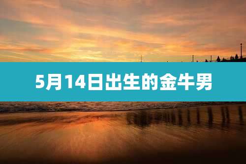 5月14日出生的金牛男