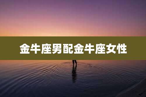 金牛座男配金牛座女性