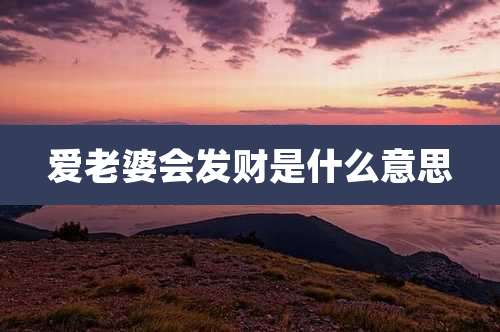 爱老婆会发财是什么意思