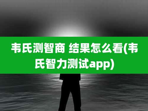 韦氏测智商 结果怎么看(韦氏智力测试app)