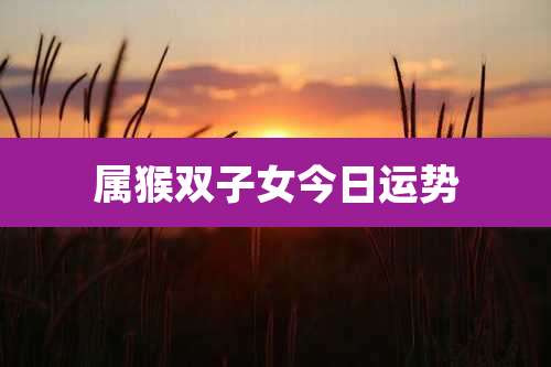 属猴双子女今日运势