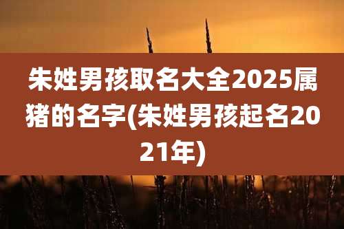 朱姓男孩取名大全2025属猪的名字(朱姓男孩起名2021年)