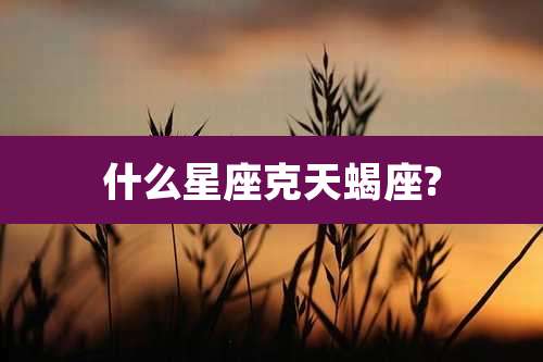 什么星座克天蝎座?