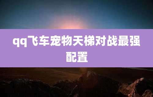 qq飞车宠物天梯对战最强配置