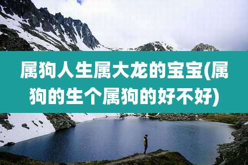 属狗人生属大龙的宝宝(属狗的生个属狗的好不好)