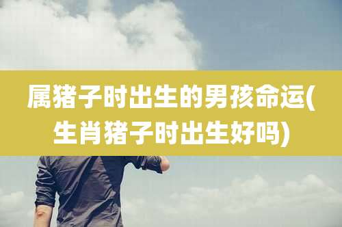 属猪子时出生的男孩命运(生肖猪子时出生好吗)