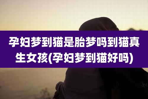 孕妇梦到猫是胎梦吗到猫真生女孩(孕妇梦到猫好吗)