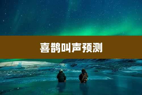 喜鹊叫声预测