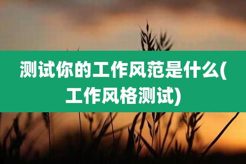 测试你的工作风范是什么(工作风格测试)