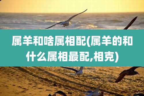 属羊和啥属相配(属羊的和什么属相最配,相克)