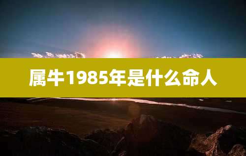 属牛1985年是什么命人
