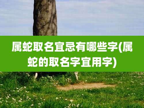 属蛇取名宜忌有哪些字(属蛇的取名字宜用字)