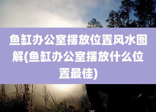 鱼缸办公室摆放位置风水图解(鱼缸办公室摆放什么位置最佳)