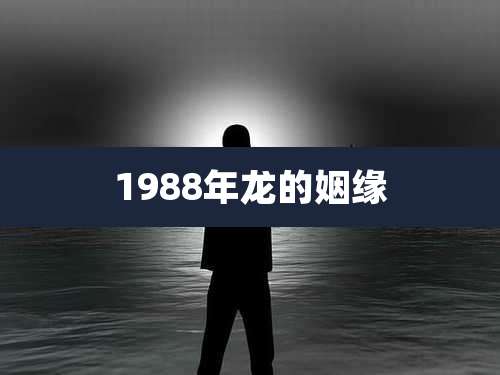 1988年龙的姻缘