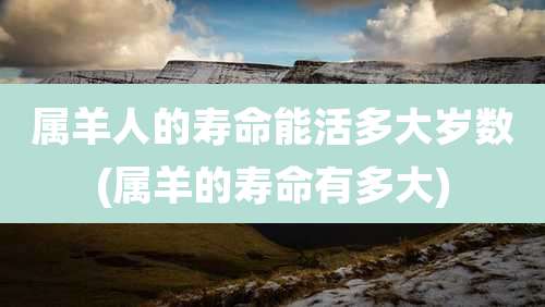 属羊人的寿命能活多大岁数(属羊的寿命有多大)