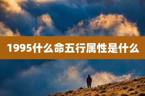 1995什么命五行属性是什么