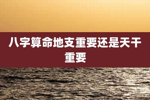 八字算命地支重要还是天干重要