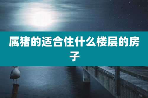 属猪的适合住什么楼层的房子