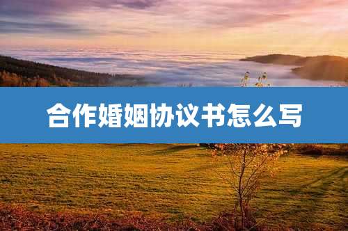 合作婚姻协议书怎么写