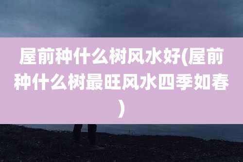屋前种什么树风水好(屋前种什么树最旺风水四季如春)
