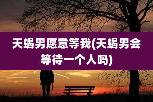 天蝎男愿意等我(天蝎男会等待一个人吗)