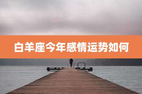 白羊座今年感情运势如何