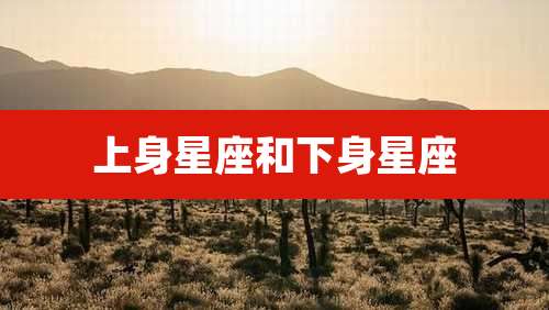 上身星座和下身星座