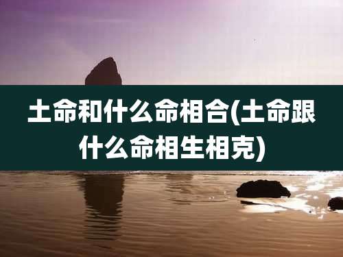 土命和什么命相合(土命跟什么命相生相克)