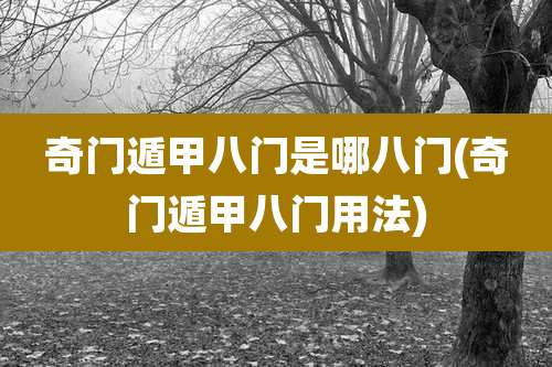 奇门遁甲八门是哪八门(奇门遁甲八门用法)