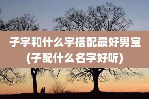 子字和什么字搭配最好男宝(子配什么名字好听)
