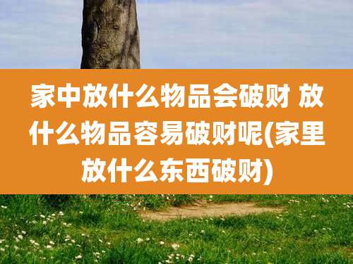 家中放什么物品会破财 放什么物品容易破财呢(家里放什么东西破财)