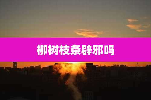 柳树枝条辟邪吗