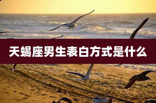 天蝎座男生表白方式是什么