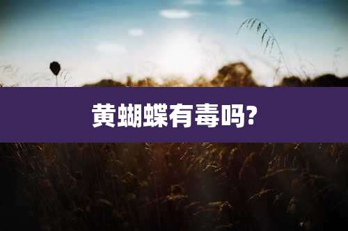 黄蝴蝶有毒吗?