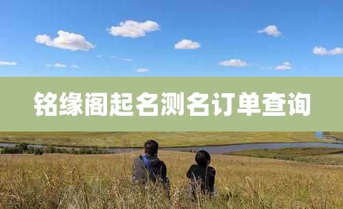 铭缘阁起名测名订单查询
