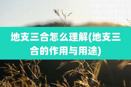 地支三合怎么理解(地支三合的作用与用途)