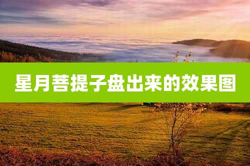 星月菩提子盘出来的效果图