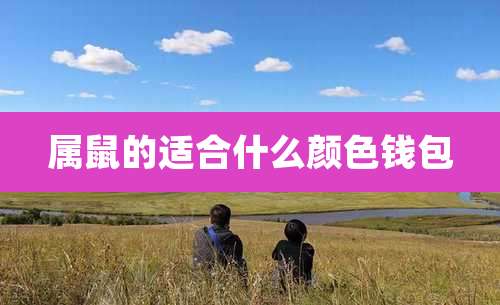 属鼠的适合什么颜色钱包