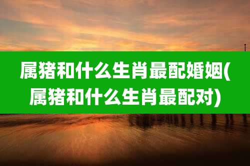 属猪和什么生肖最配婚姻(属猪和什么生肖最配对)