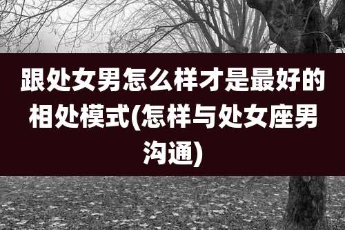 跟处女男怎么样才是最好的相处模式(怎样与处女座男沟通)