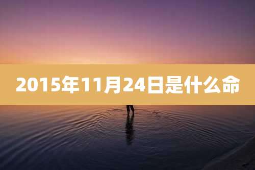 2015年11月24日是什么命