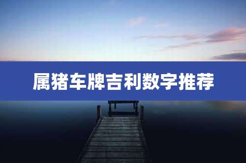 属猪车牌吉利数字推荐