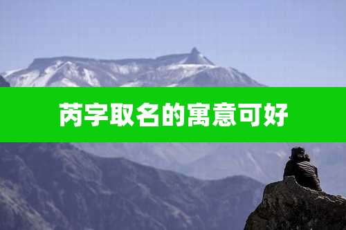 芮字取名的寓意可好